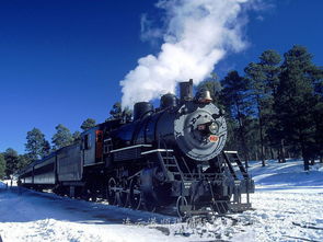 青島濰坊至撒馬爾罕國際鐵路貨運(yùn)代理服務(wù)指南