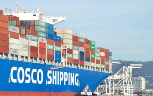 巨無霸中國物流集團成立，對貨運代理行業影響幾何